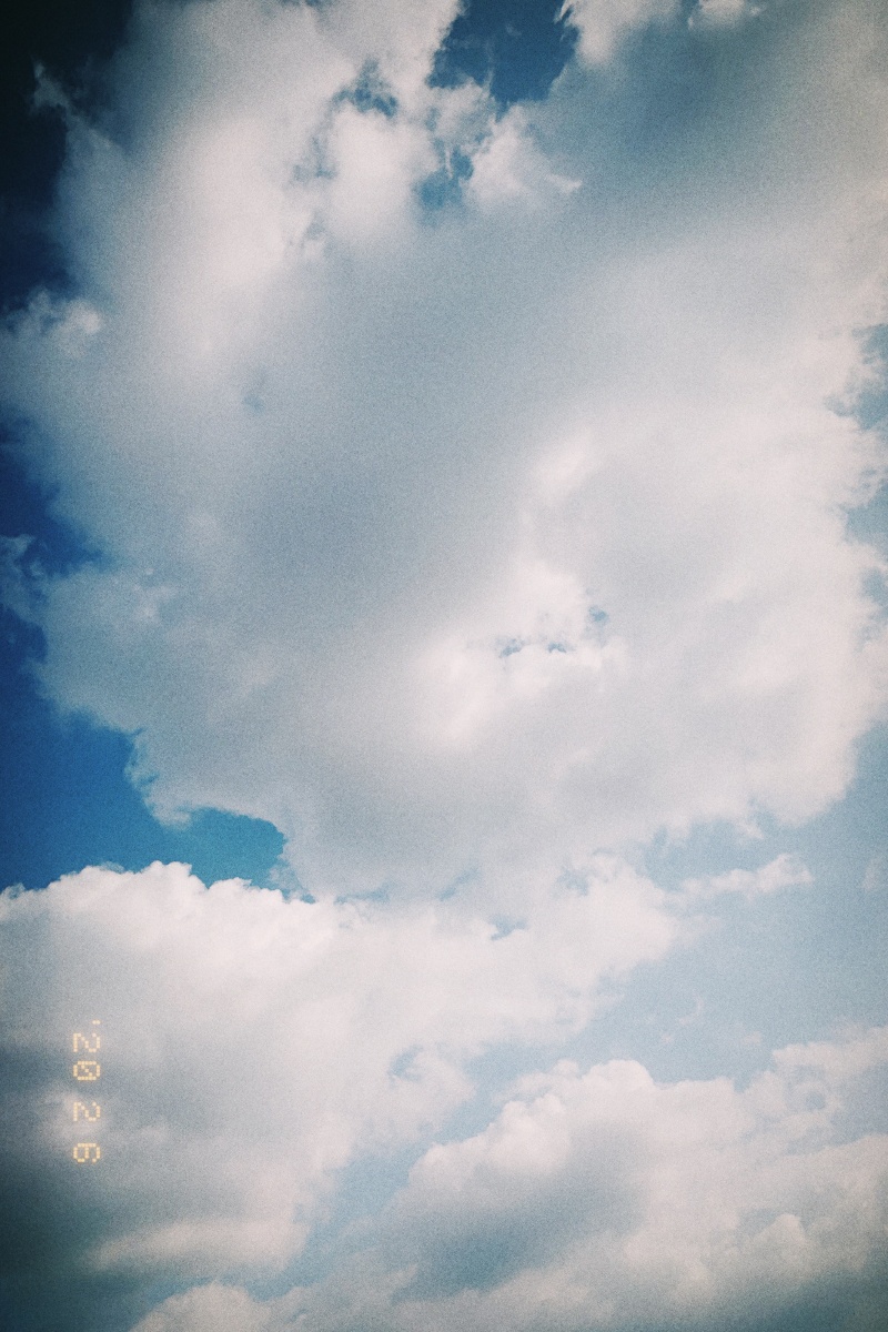 日本一区二区三区免费播放视频站海报