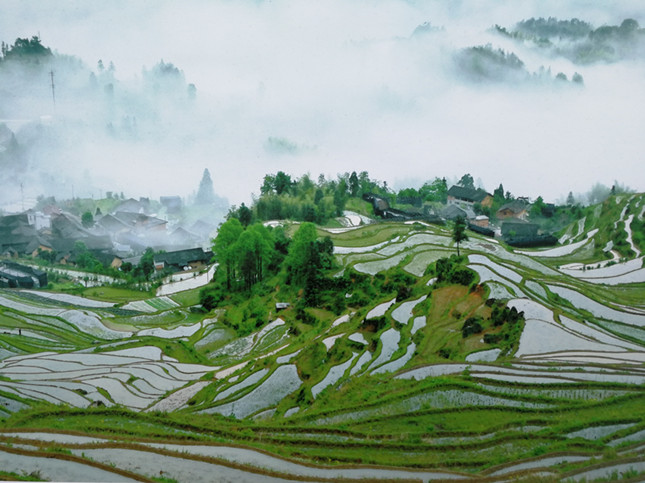 里番在线米拉小姐海报