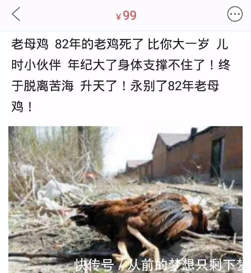 海角暗网吃瓜 吃瓜互联网等高危行业