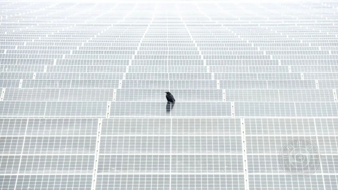 一卡二卡三卡免费海报