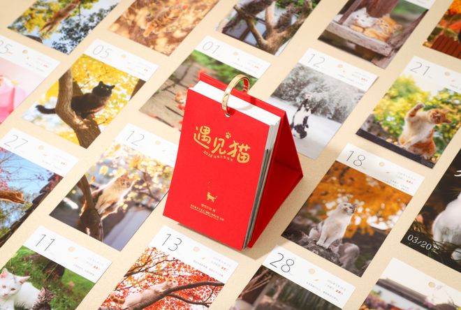 jufe-143 我第一次注意到《jufe-143》