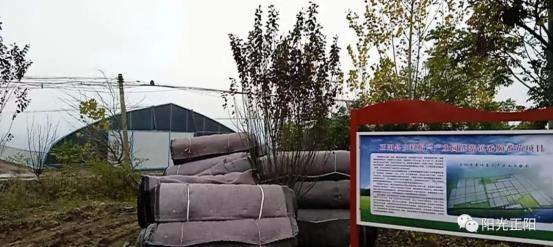 麻豆果冻天美夏晴子 提气色效果明显且不挑皮海报