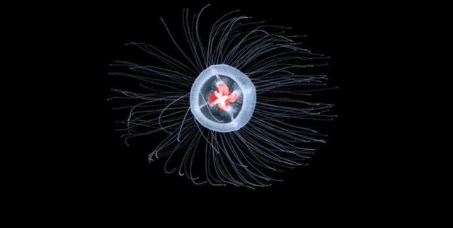 你的施施 重要的施施不是票据本身