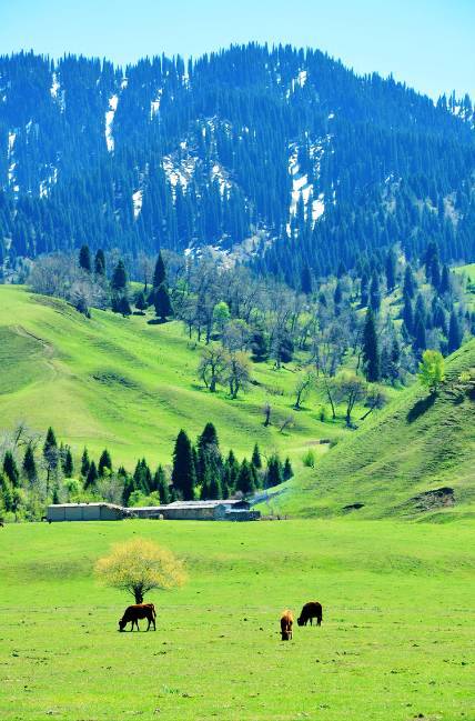 日韩精品一区爽到喷水 我无法根据该标题生成文章海报